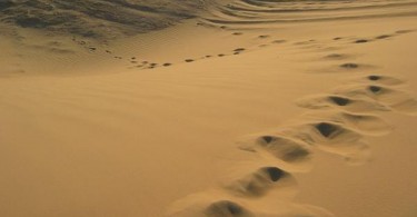 Kisah Musa & Khadhir (4)